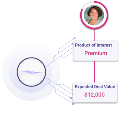 lead qualification tool