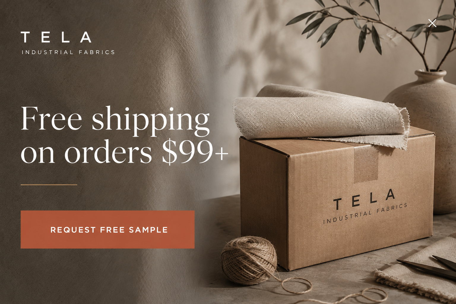 Microexperience: an offer card confirming free shipping on orders over ninety-nine dollars